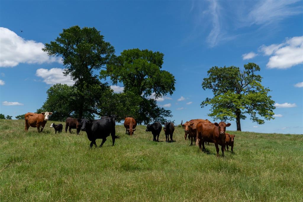 G-0326 DUGAN GEORGE G A-G0326, ACRES 42.3 - Land