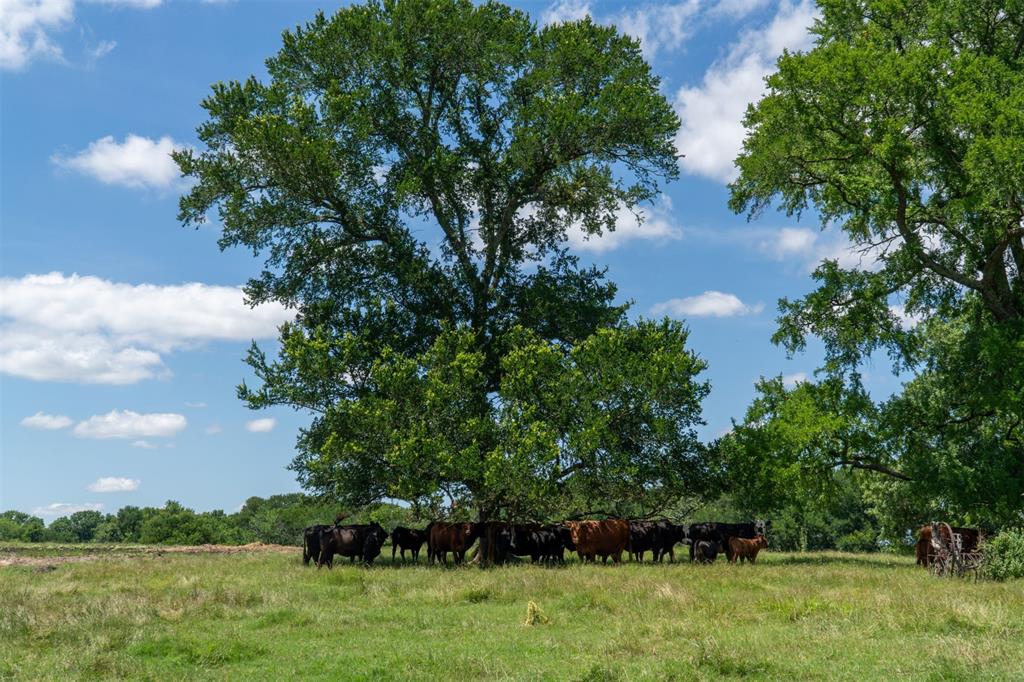 G-0326 DUGAN GEORGE G A-G0326, ACRES 42.3 - Land