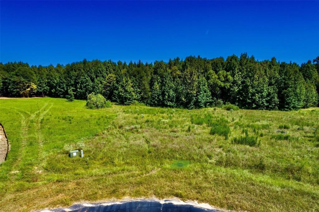 Stallion Lake Ranch - Land