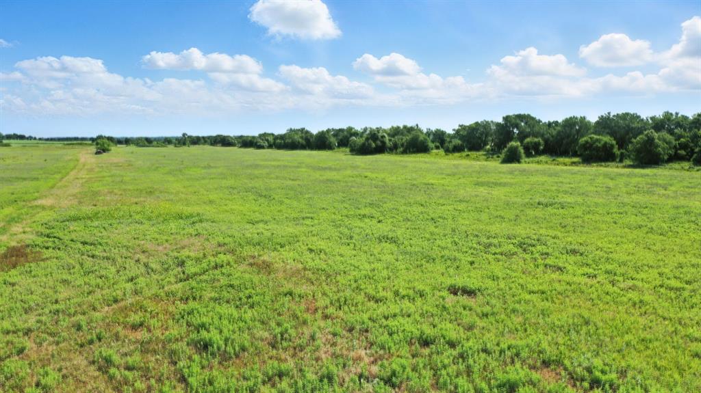 A0259 Mary Ely - Land