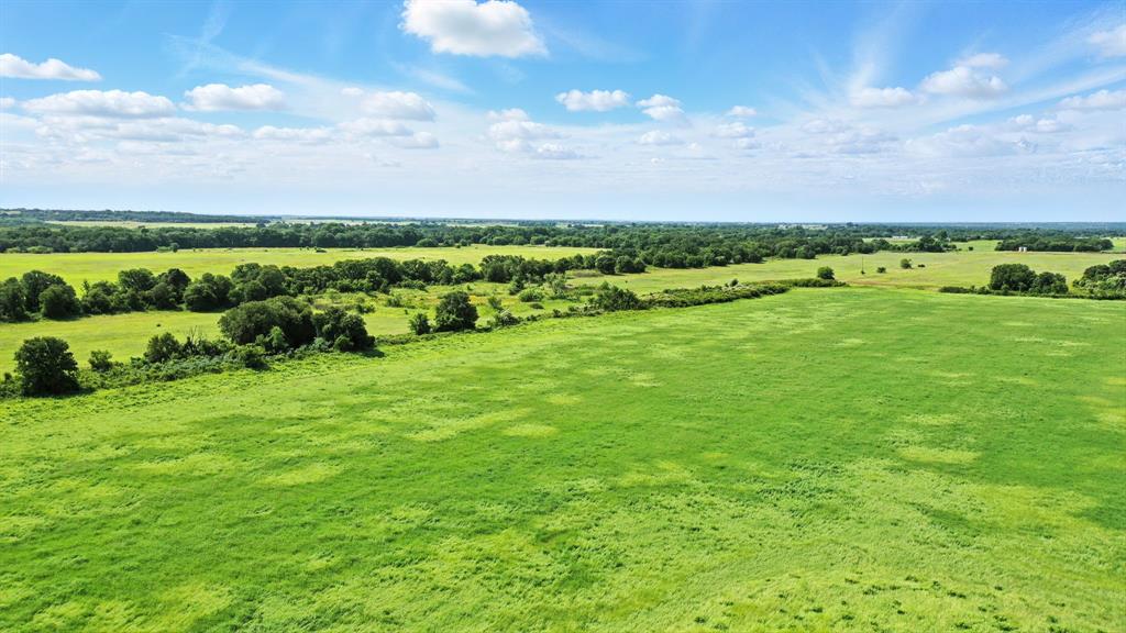 A0259 Mary Ely - Land