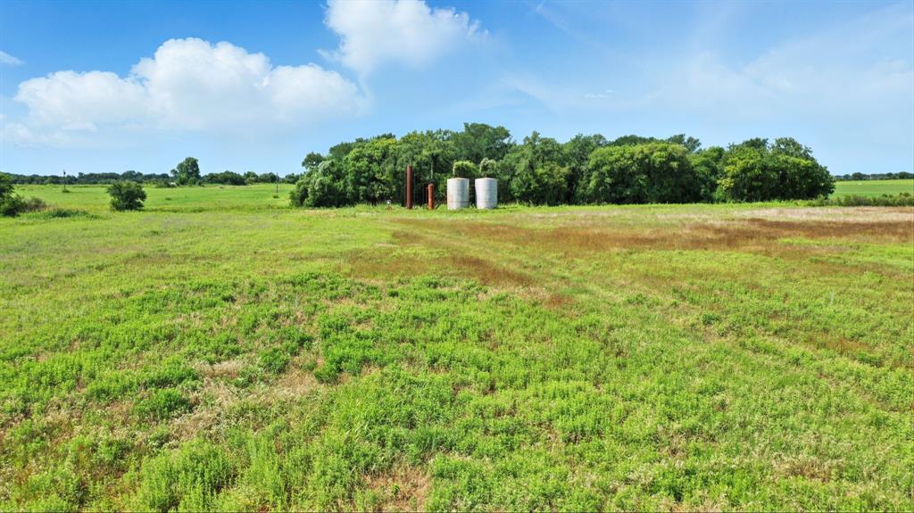 A0259 Mary Ely - Land