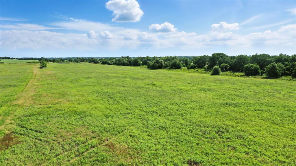 A0259 Mary Ely - Land