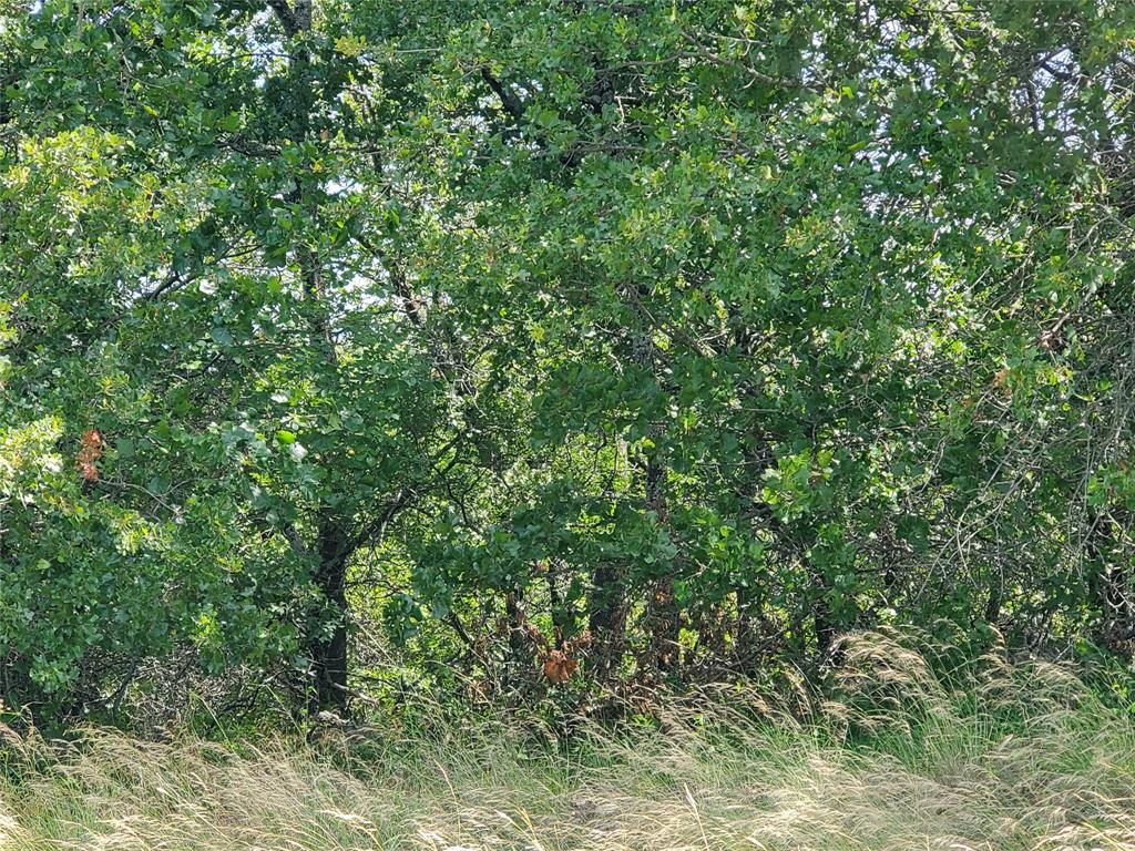 Silver Lakes Ranch - Land