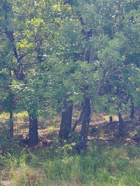 Silver Lakes Ranch - Land