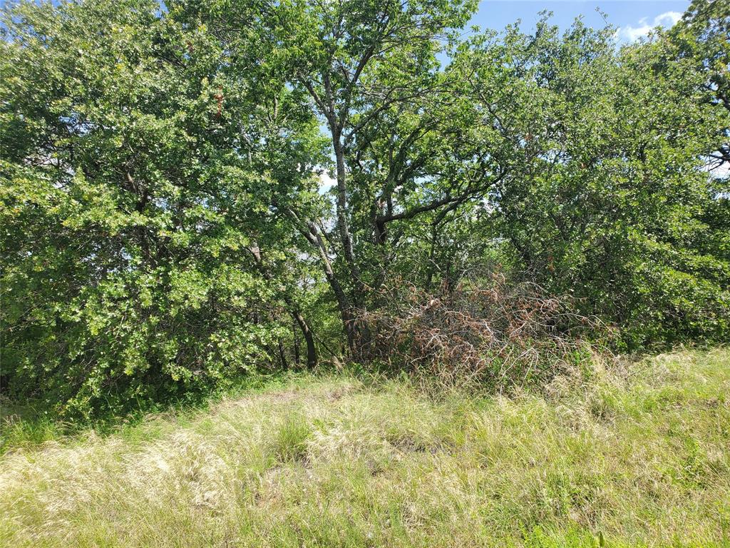 Silver Lakes Ranch - Land