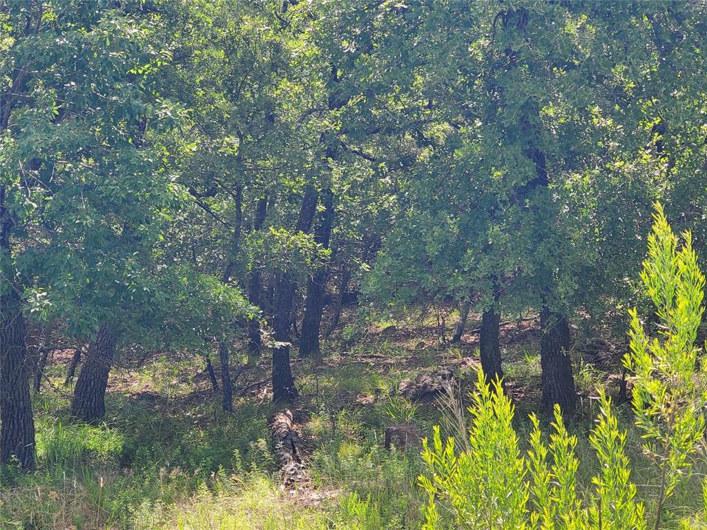 Silver Lakes Ranch - Land