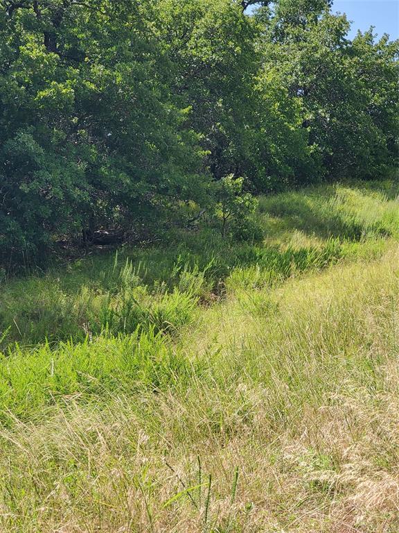 Silver Lakes Ranch - Land