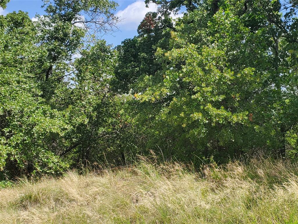 Silver Lakes Ranch - Land