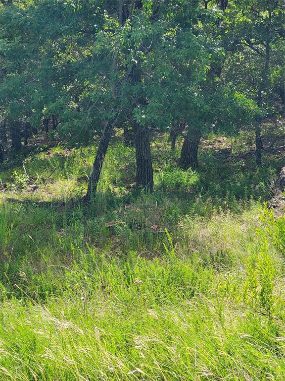 Silver Lakes Ranch - Land