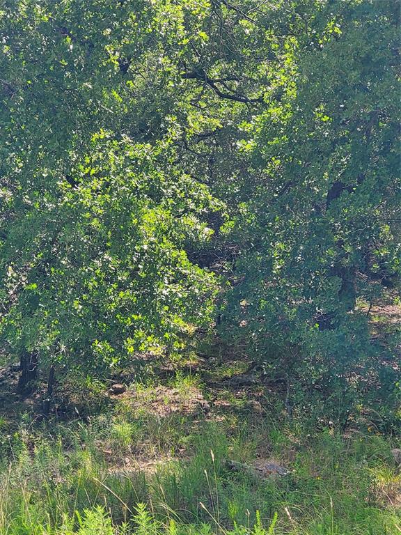 Silver Lakes Ranch - Land