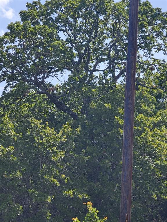 Silver Lakes Ranch - Land