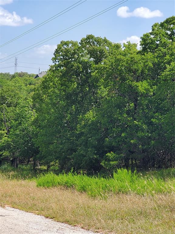 Silver Lakes Ranch - Land