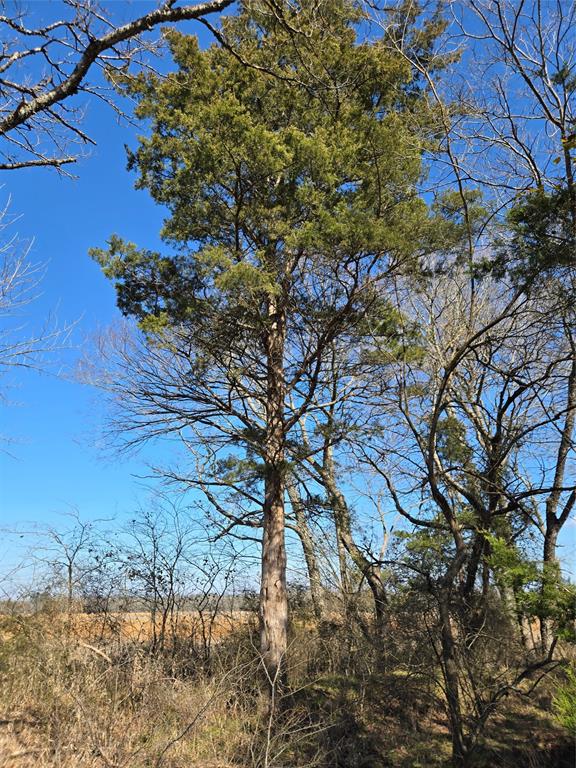 Ranches At River Ridge - Land