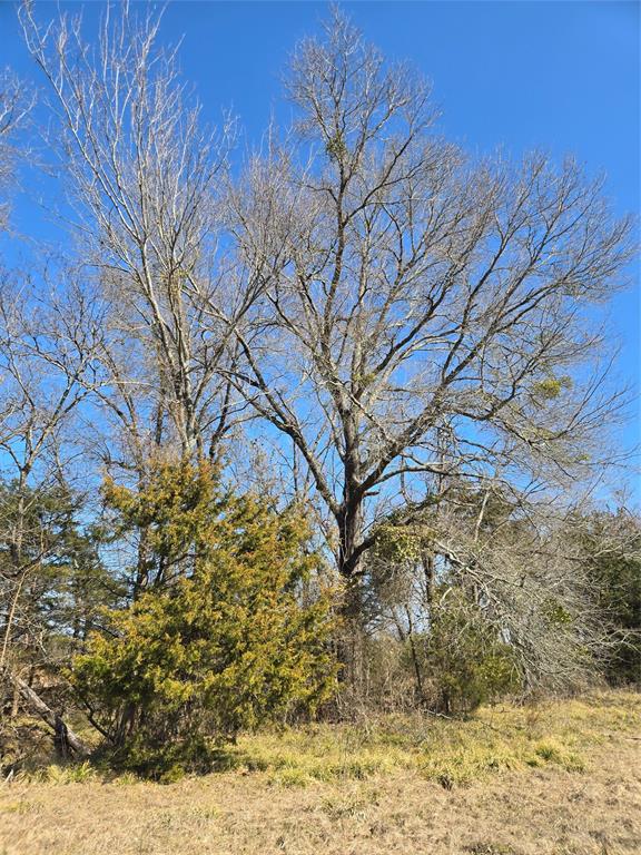 Ranches At River Ridge - Land