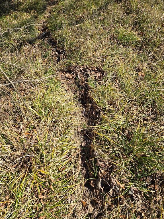 Ranches At River Ridge - Land