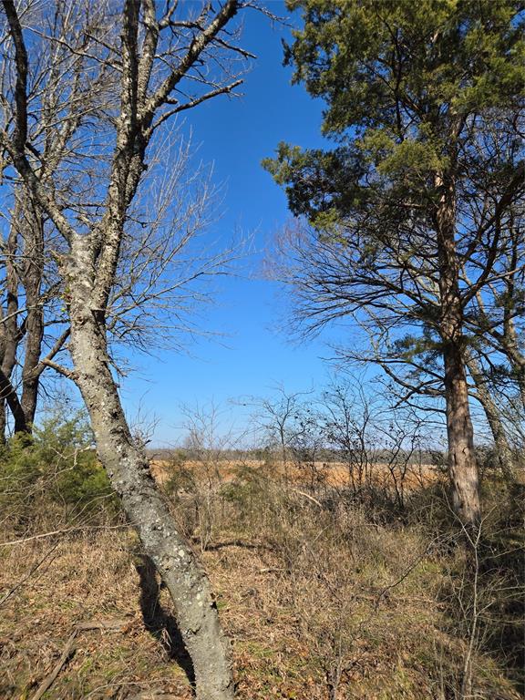 Ranches At River Ridge - Land