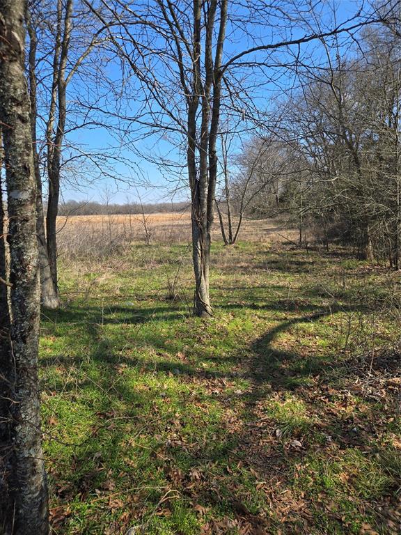 Ranches At River Ridge - Land