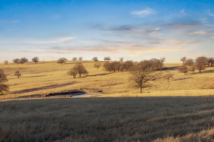 RARE opportunity with almost 200 acres of grazing and cutting pastures, multiple home building sites and the most incredible 360 degree views for miles. With over 8,700 ft of county road frontage along Odom Rd and Admire Rd, this one of a kind property has permimeter and cross-fencing across it's beautiful bermuda pastures. Electrcity on site through Pentex, working pens, scattered large oak trees and gated entrances at 3 different locations with county road access to each. Rolling topography changes of over 100 ft grant seclusion nestled in the trees as well as luxury views from the hilltop. Call to see this dream property today!
