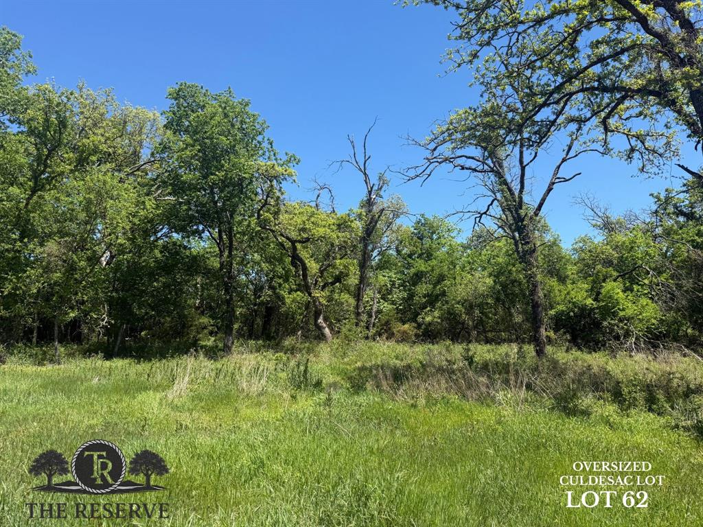 The Reserve at Taylor Ranch - Land