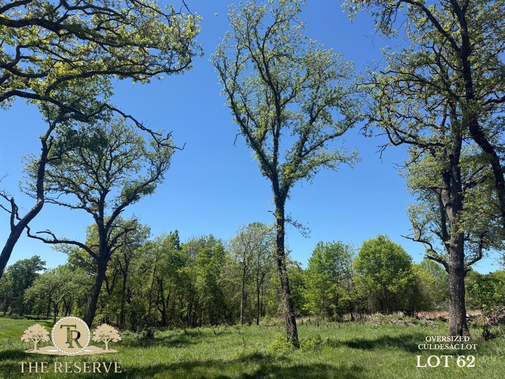 The Reserve at Taylor Ranch - Land