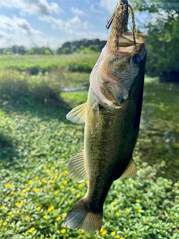 R & R Ranchettes 2 - Land