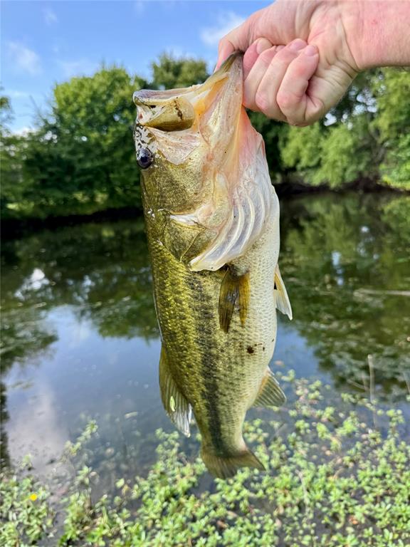 R & R Ranchettes 2 - Land