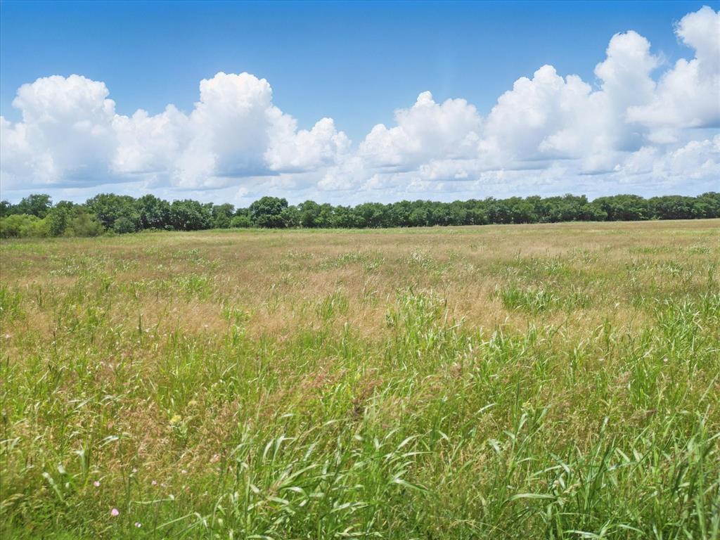 Lone Pond Estates - Land