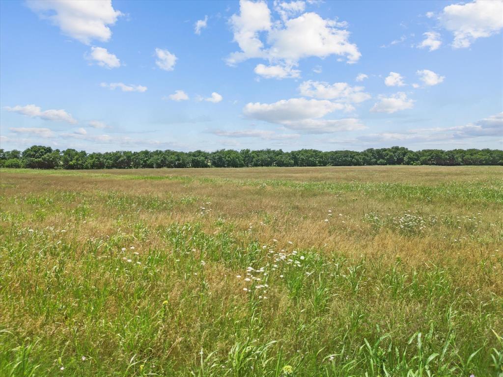 Lone Pond Estates - Land