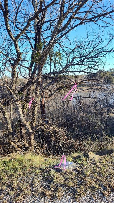 Tamarack Mountain Sec I - Land