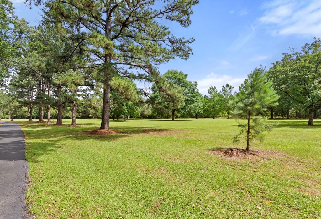 A100578-A0578 P Lively - Residential