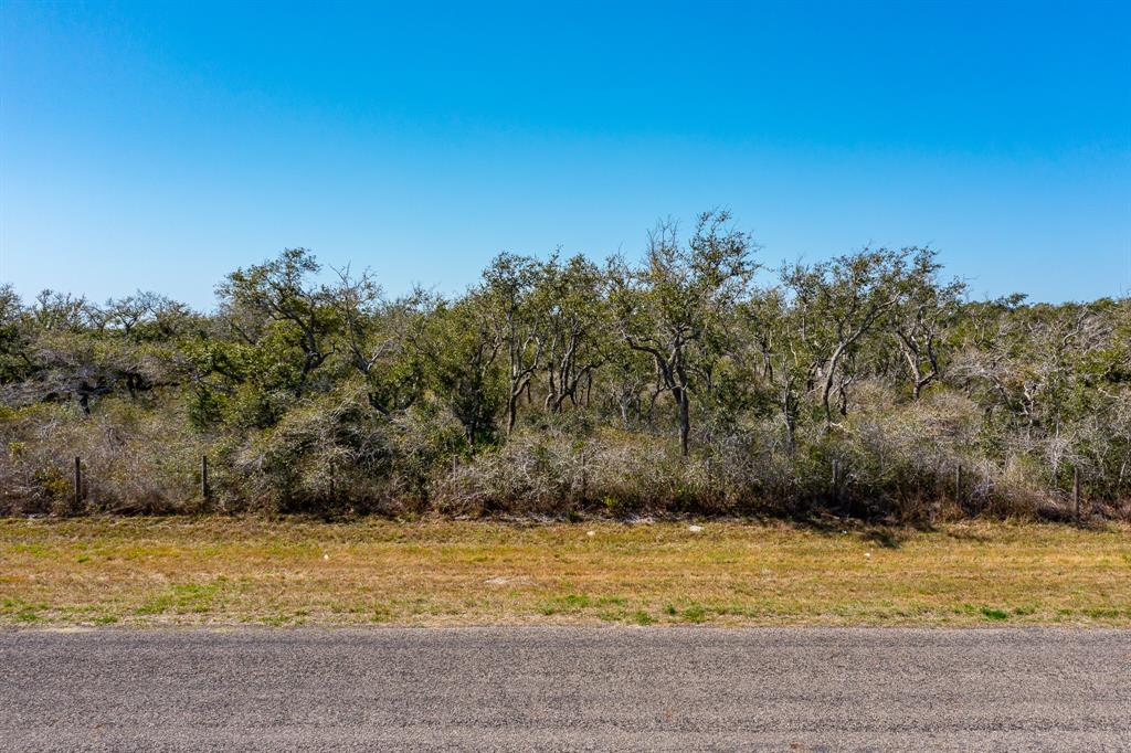 Photo 7 of 10 of 1803 W Corpus Christi Street land