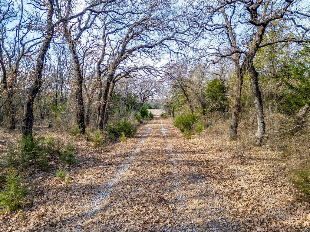 Joshua West Surv Abs #903 - Land