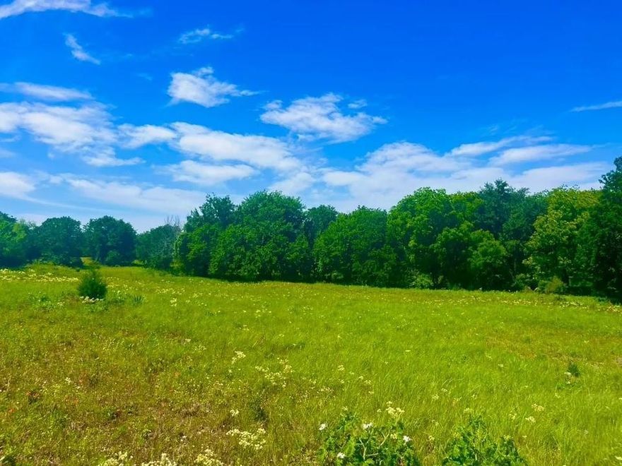 Lot 100 in Sarra Ranch Estates is a ready-to-build property featuring minimal elevation changes and excellent soil quality. Located just 12 minutes north of the Weatherford courthouse, this peaceful community in Parker County offers an ideal setting to establish your roots in one of Texas's most desirable areas.
This cleared, open pasture lot provides multiple prime spots for your home, workshop, or space for animals, with a nice little grove of trees in the back of the lot. Sarra has 103 lots nestled within a private loop, Sarra Ranch Estates creates a safe and serene environment where you can enjoy jogging, horseback riding, or simply embracing the country lifestyle.
Choosing Sarra Ranch Estates means joining a welcoming community, building lifelong friendships, and enjoying the beauty of rural living. Welcome to your new home!