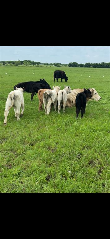 10.5 acres OHANLON Road
