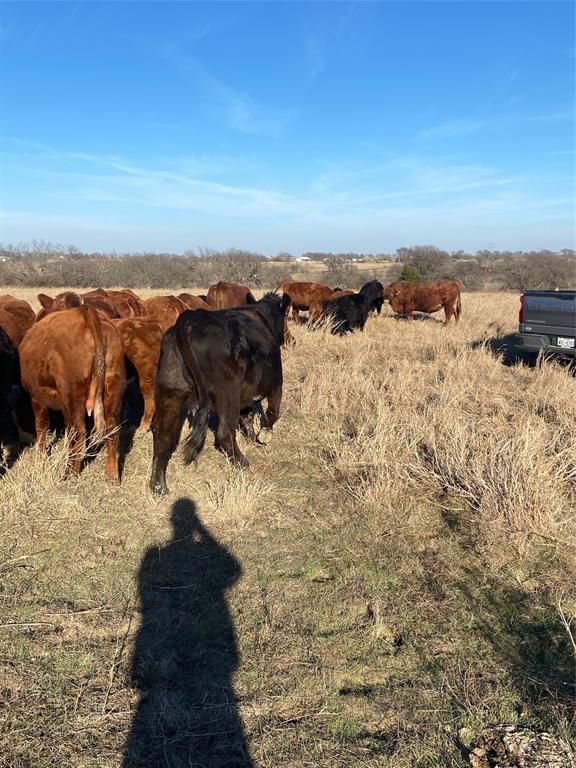 10.5 acres OHANLON Road