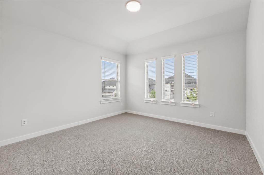 Painted Tree - Residential