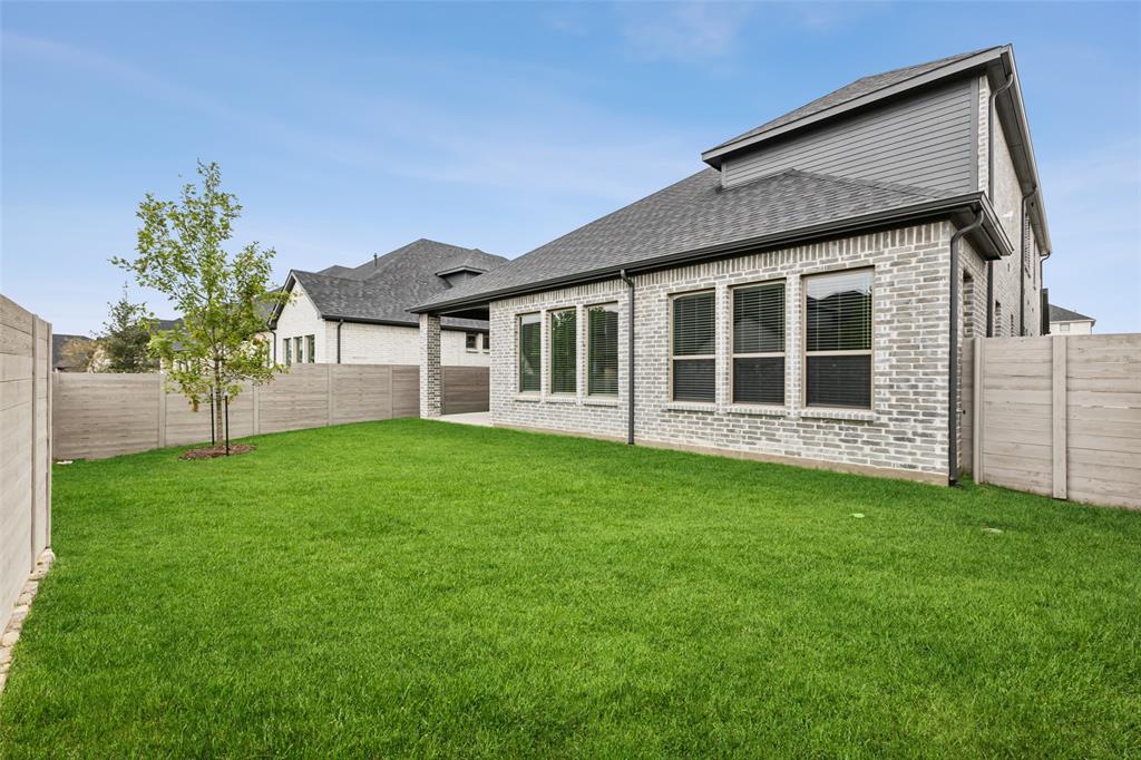 Painted Tree - Residential