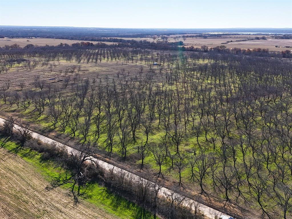 Lot 19 County Road 446