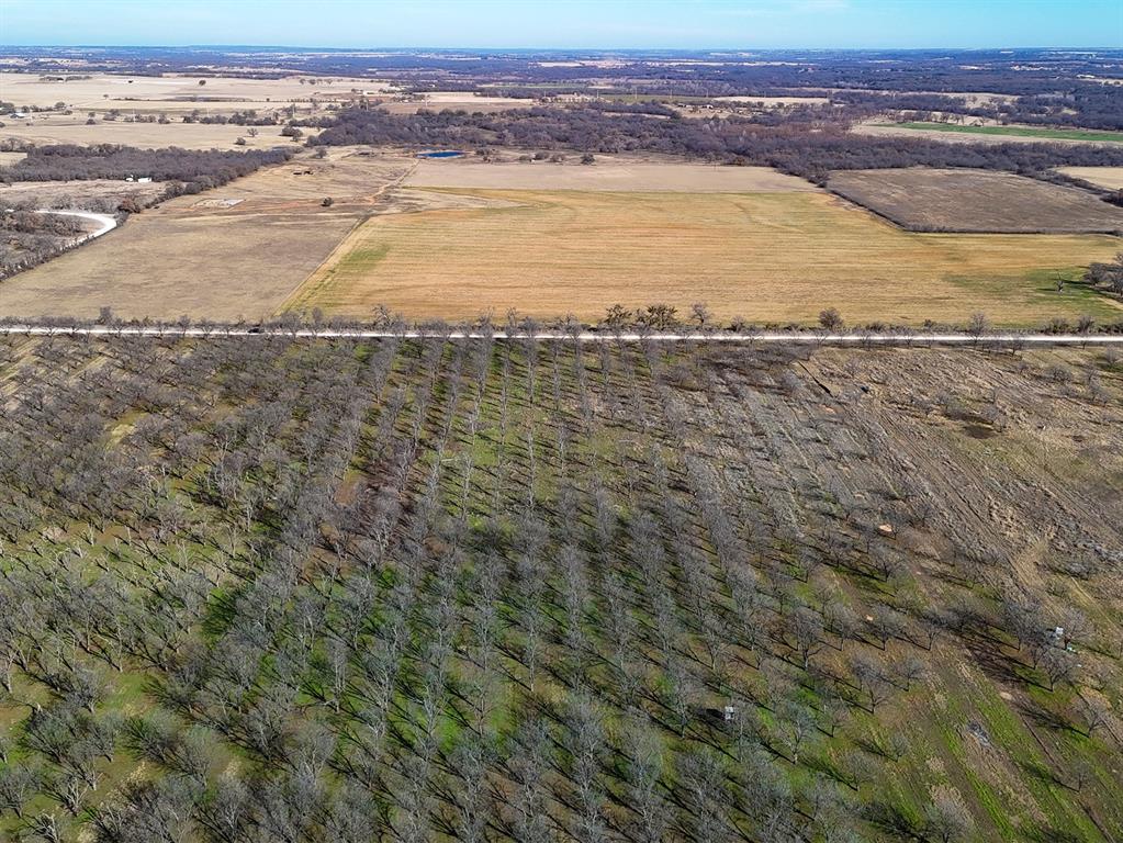 Lot 19 County Road 446