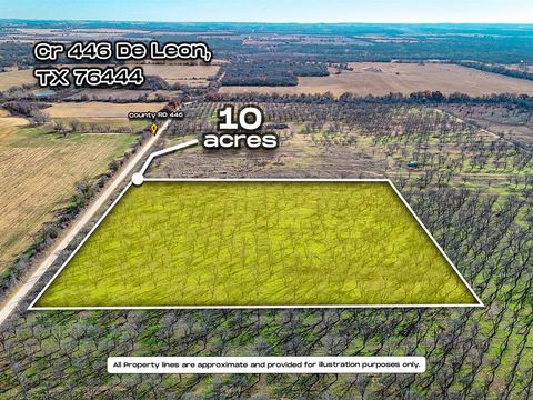 Lot 19 County Road 446 De Leon TX 76444