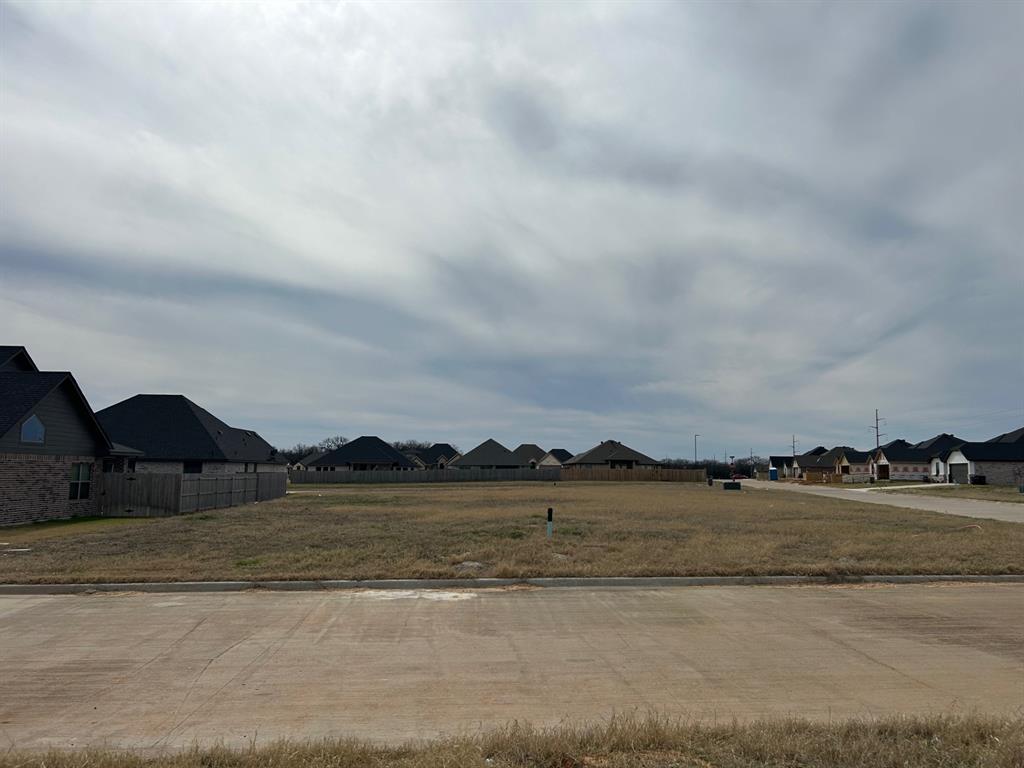 Tolar, Texas 76476, United States, ,Land,Active,90215