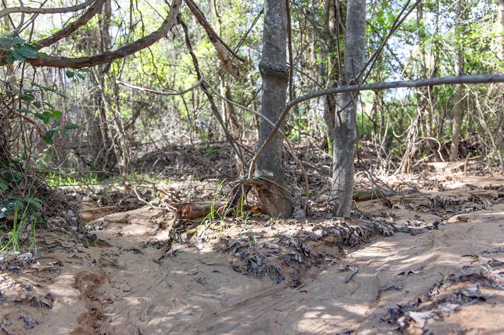 TBD Ridgeline Loop Lot #93