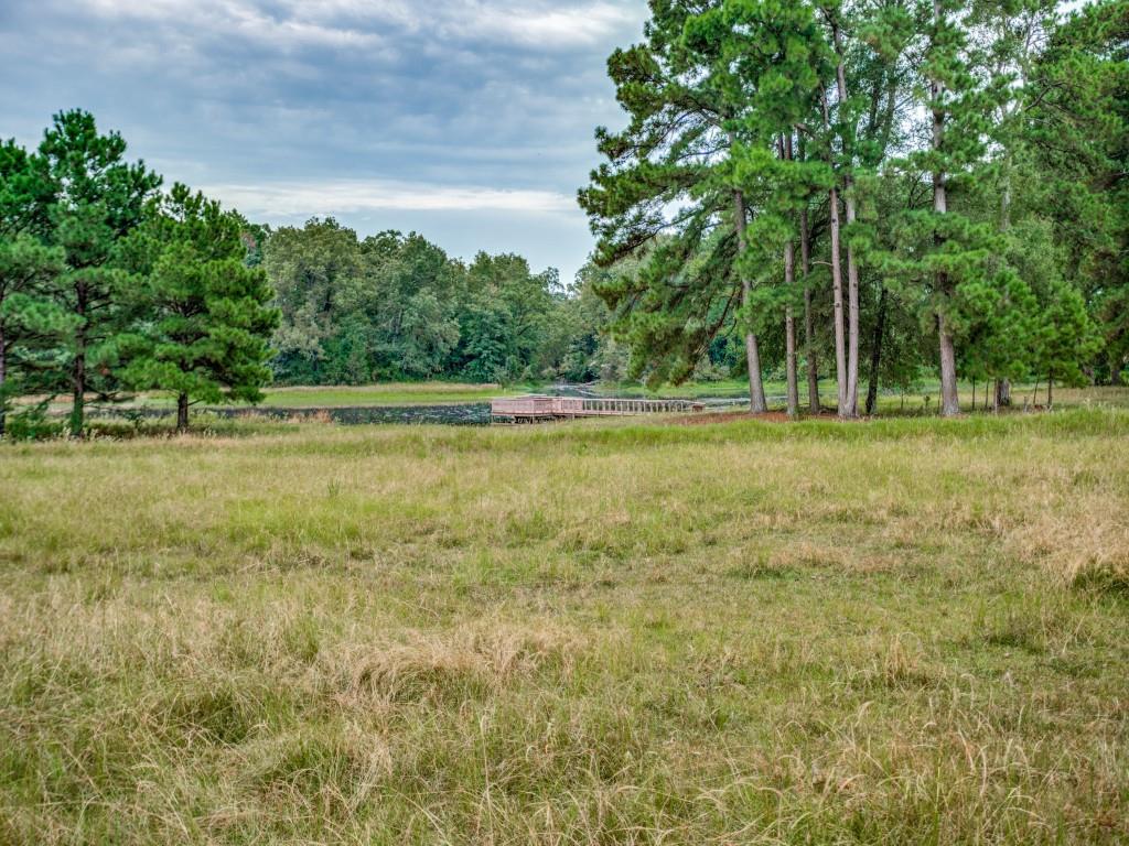 Rh Browning Headright Surv Abs - Farm