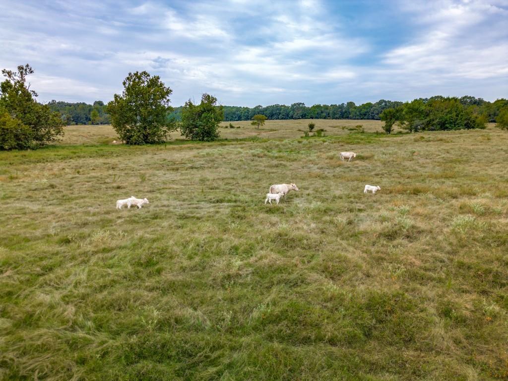 Rh Browning Headright Surv Abs - Farm