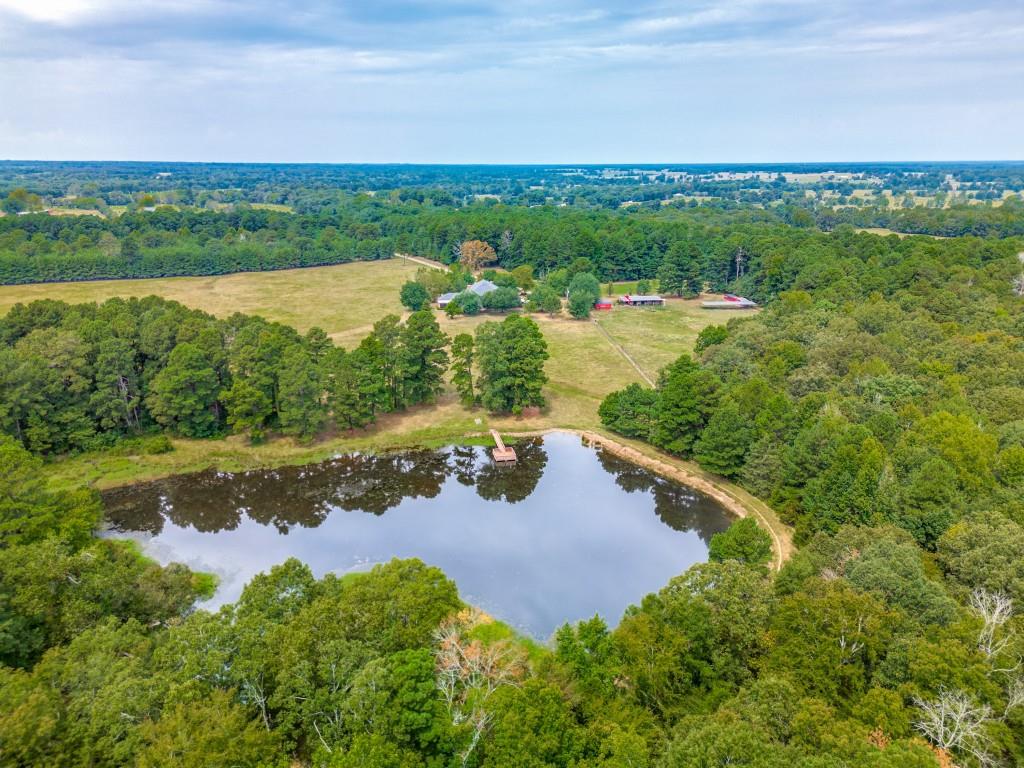 Rh Browning Headright Surv Abs - Farm