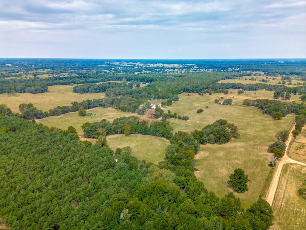 Rh Browning Headright Surv Abs - Farm