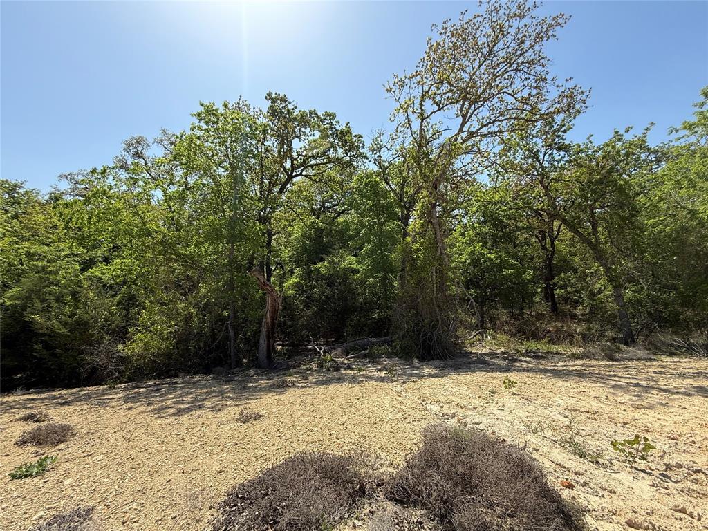 Freeman Ranch - Land