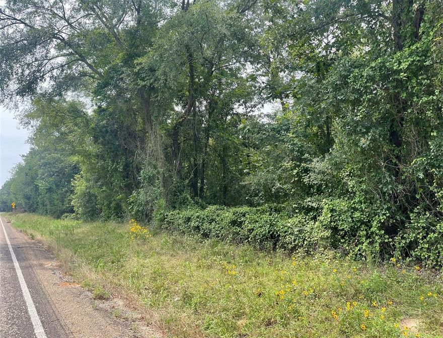 Heavily wooded 1.375 acres of land. Perfect for your new home. Modular or mobile home are allowed...NO RESTRICTIONS!