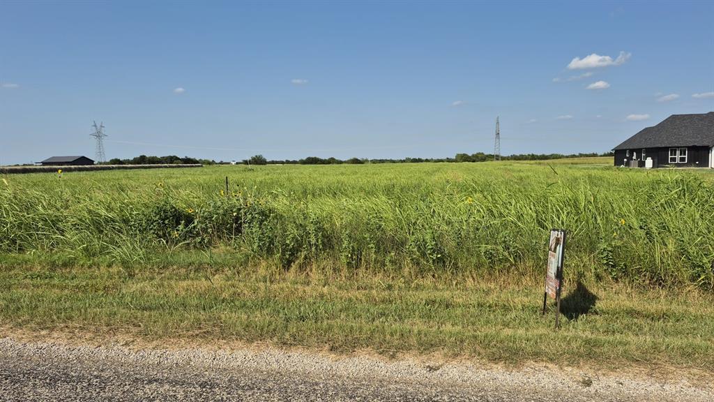 H.G ALEXANDER - Land